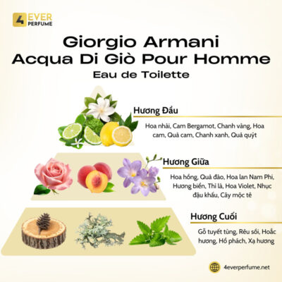 Giorgio Armani Acqua di Gio Pour Homme Eau de Toilette H2