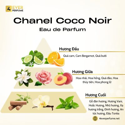 Chanel Coco Noir Eau de Parfum H2