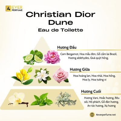 Christian Dior Dune Eau de Toilette H2