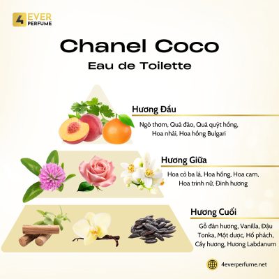 Chanel Coco Eau de Toilette H2