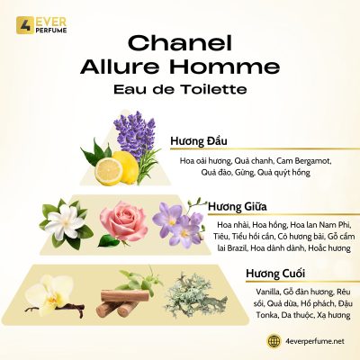 Chanel Allure Homme Eau de Toilette H2