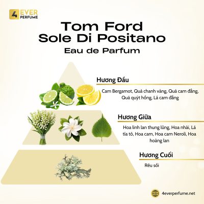 Tom Ford Sole Di Positano Eau de Parfum H2