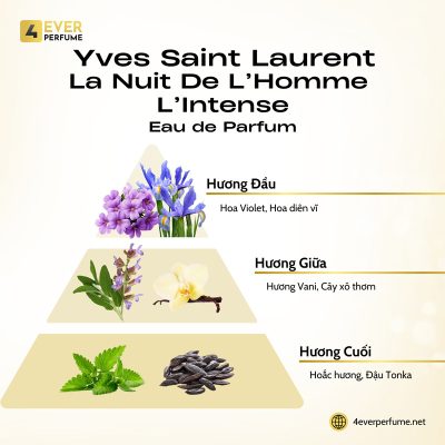 Yves Saint Laurent La Nuit de L'Homme L'Intense H2