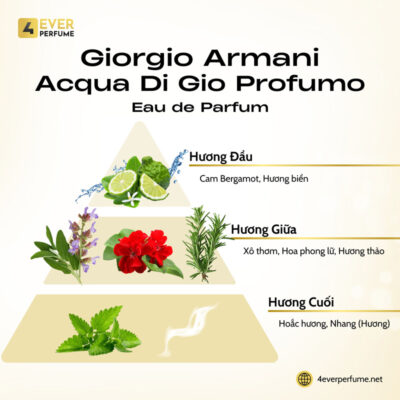 Giorgio Armani Acqua di Gio Profumo H2