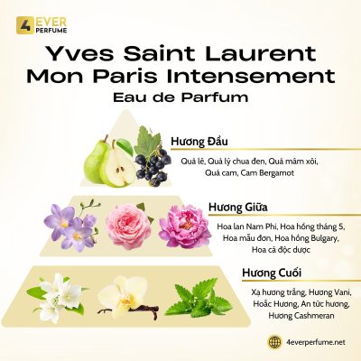 Yves Saint Laurent Mon Paris Intensement Eau de Parfum H2