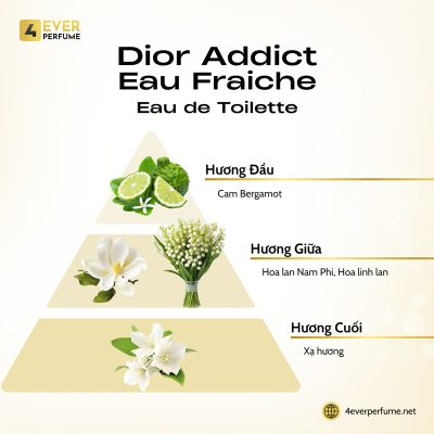 Dior Addict Eau Fraiche H2