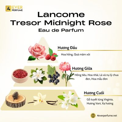 Lancome Tresor Midnight Rose Eau de Parfum H2