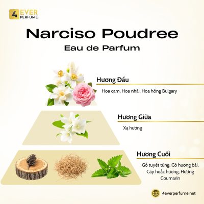 Narciso Poudree Eau de Parfum H2