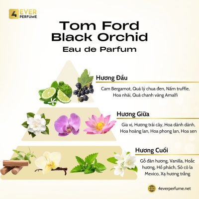 Tom Ford Black Orchid Eau de Parfum H2