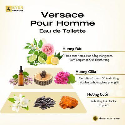 Versace Pour Homme Eau de Toilette H2